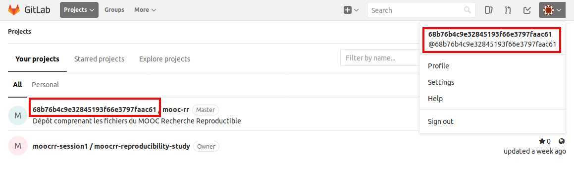 module1/ressources/gitlab_images/gitlab_id_lti.jpg