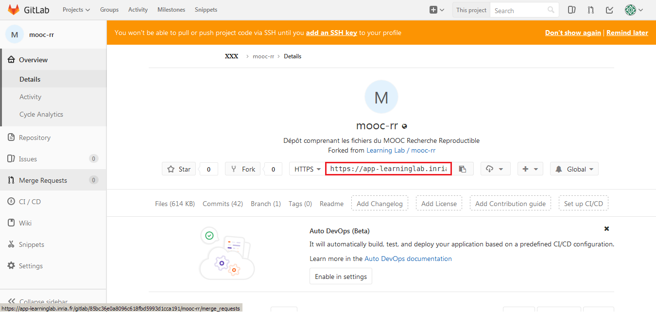 documents/tuto_rstudio_gitlab/images/adresse_depot.png
