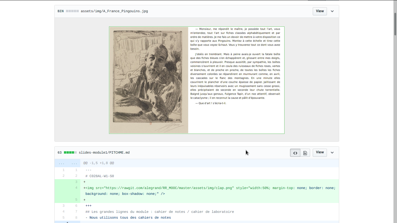 module1/slides/img/Git_diff_mixte.png
